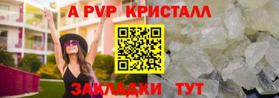 стаф Будённовск