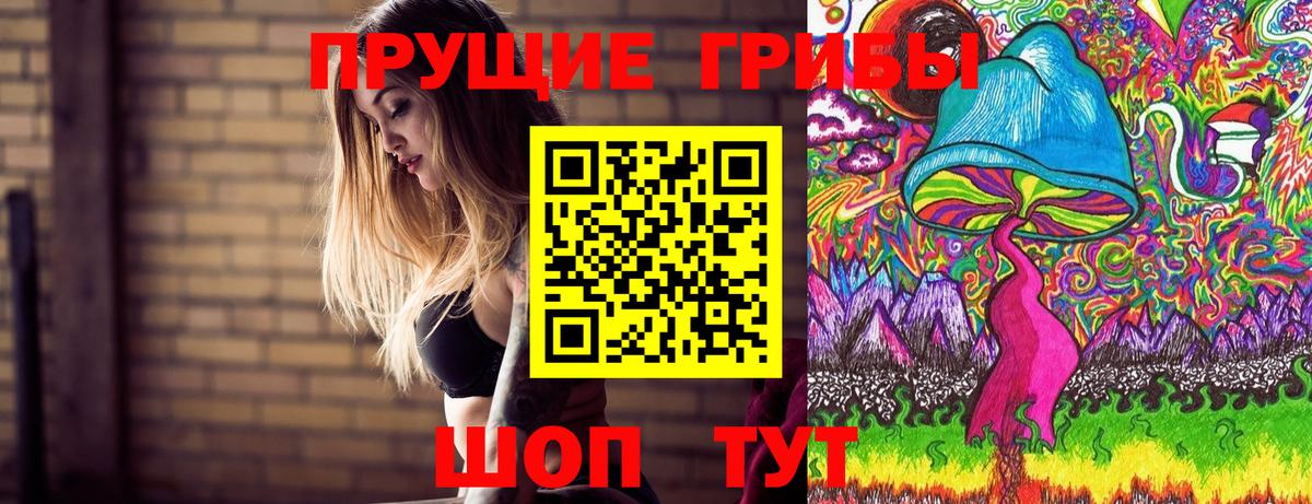 Галлюциногенные грибы прущие грибы  Вход с VPN  Карабулак  Галлюциногенные грибы Psilocybine cubensis 
